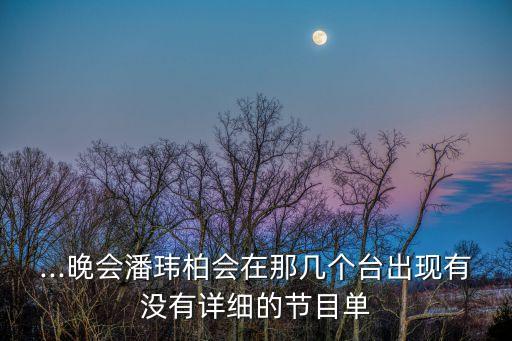 ...晚會潘瑋柏會在那幾個臺出現有沒有詳細的節目單