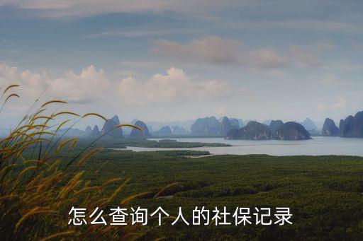 個人社保信息查詢,一文看懂!怎么查詢個人社保繳費(fèi)記錄?