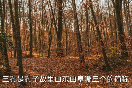孔府在哪里,孔子的故鄉(xiāng)在山東曲阜?