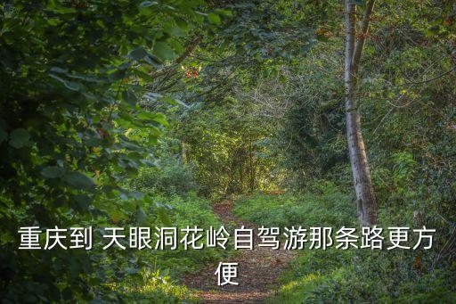 天眼洞,重慶到天眼洞花嶺自駕游那條路更方便?