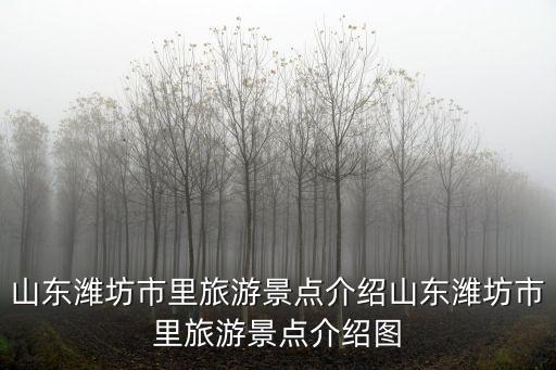 山東濰坊市里旅游景點(diǎn)介紹山東濰坊市里旅游景點(diǎn)介紹圖