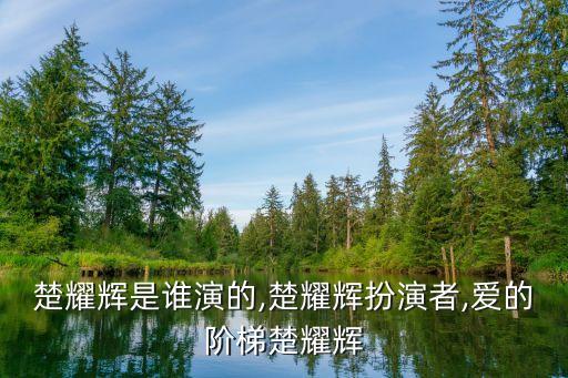 愛的階梯演員,求韓劇《愛的階梯》:路云飾演者是米熱