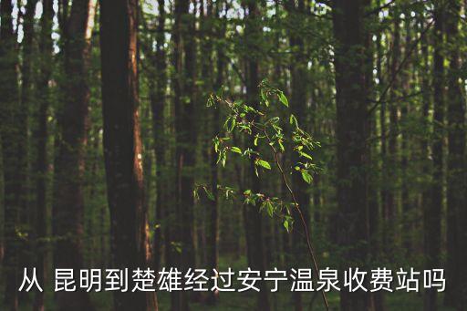 從 昆明到楚雄經過安寧溫泉收費站嗎