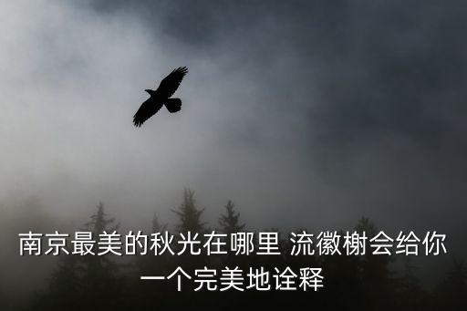 流徽榭,秋色賦予你多種情感