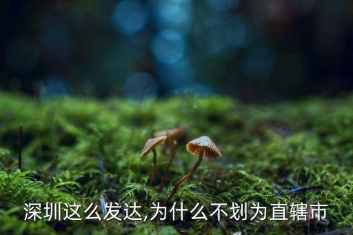 深圳這么發(fā)達,為什么不劃為直轄市