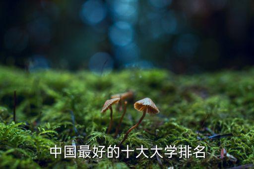 中國最好的十大大學排名