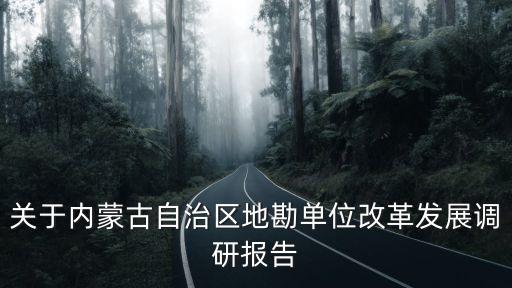 內蒙古地礦集團,中國內蒙古高爾奇礦業有限公司成立于2014年6月