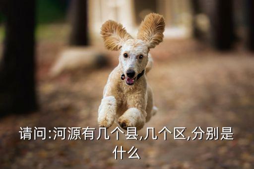 河源市東源縣,河源歷史沿革:東江繞城而過三面環水得名河源