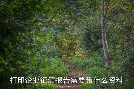 打印企業征信報告需要帶什么資料