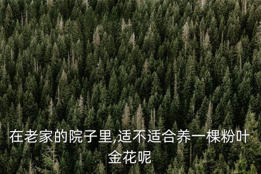 粉紙扇,粉紙扇花開了!原來是這樣的花