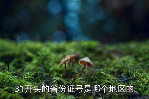 31開頭的省份證號是哪個地區的