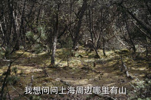 上海有山嗎,上海有沒有山?上海周邊哪里有山?