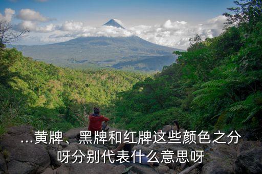 ...黃牌、黑牌和紅牌這些顏色之分呀分別代表什么意思呀