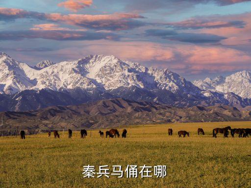 秦兵馬俑在哪