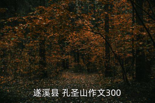 遂溪縣 孔圣山作文300