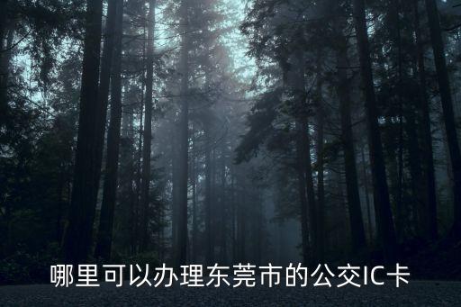 公交ic卡,公交一卡通卡是ic卡還是刷卡?