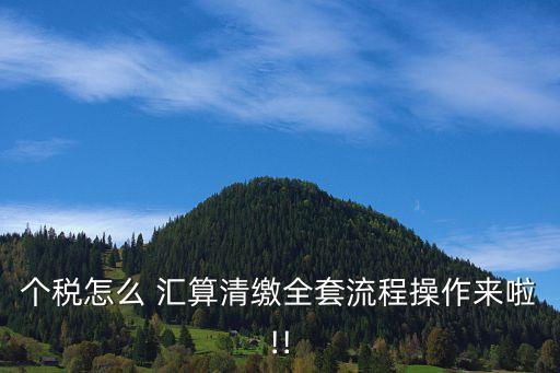 匯算,年度匯算怎么辦?