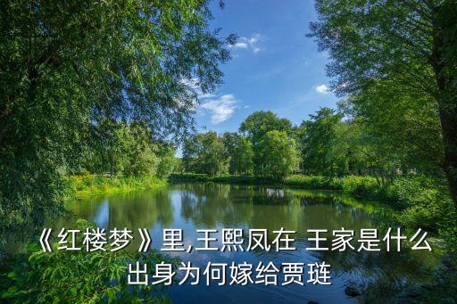 王家,王熙鳳出身于霸王史薛四大家族