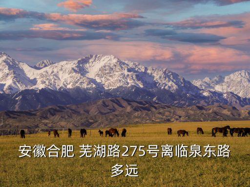 安徽合肥 蕪湖路275號離臨泉東路多遠(yuǎn)
