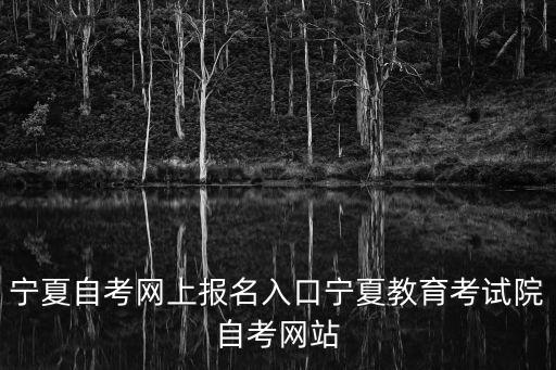 寧夏自考網上報名入口寧夏教育考試院自考網站