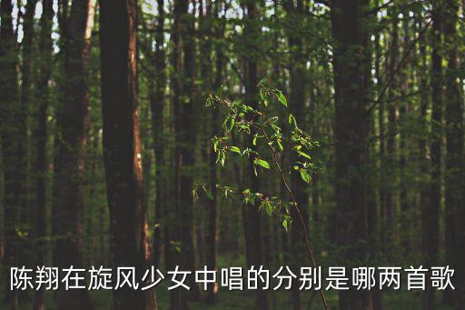 陳翔在旋風少女中唱的分別是哪兩首歌