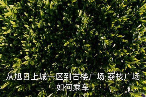 荔枝廣場,南京荔枝廣場有何來頭?