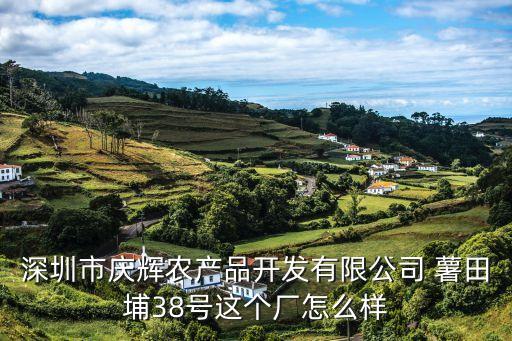 深圳市慶輝農產品開發有限公司 薯田埔38號這個廠怎么樣