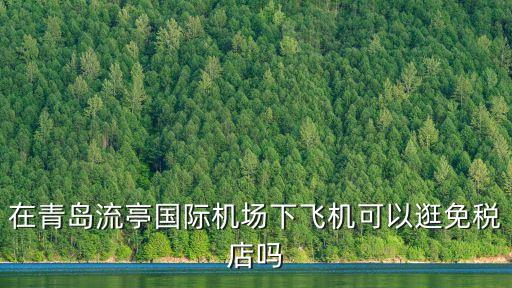 在青島流亭國(guó)際機(jī)場(chǎng)下飛機(jī)可以逛免稅店嗎