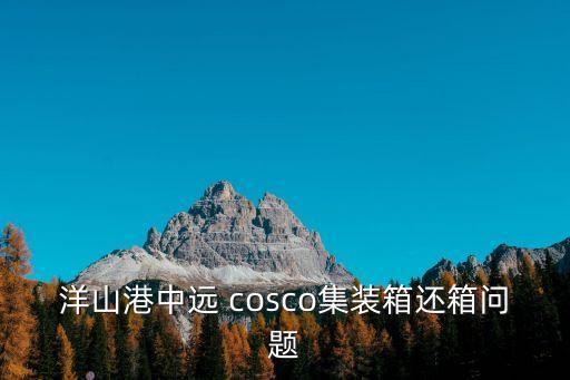 洋山港中遠 cosco集裝箱還箱問題
