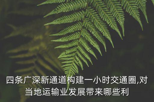 廣珠城際鐵路,中國廣珠城際鐵路為何不是高鐵?