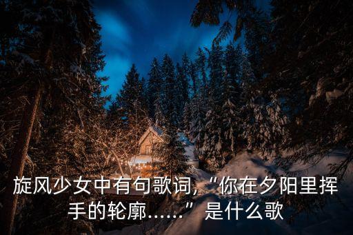 旋風少女中有句歌詞,“你在夕陽里揮手的輪廓……”是什么歌