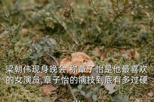 梁朝偉現身晚會,稱章子怡是他最喜歡的女演員,章子怡的演技到底有多過硬...