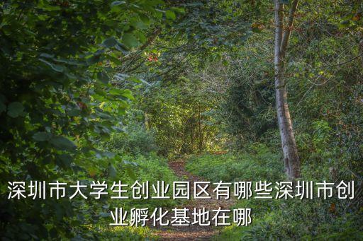 深圳市大學生創業園區有哪些深圳市創業孵化基地在哪