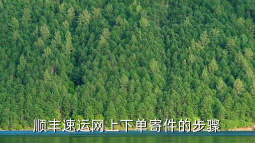 順豐快遞下單,怎么下單寄順豐快遞?看這里!