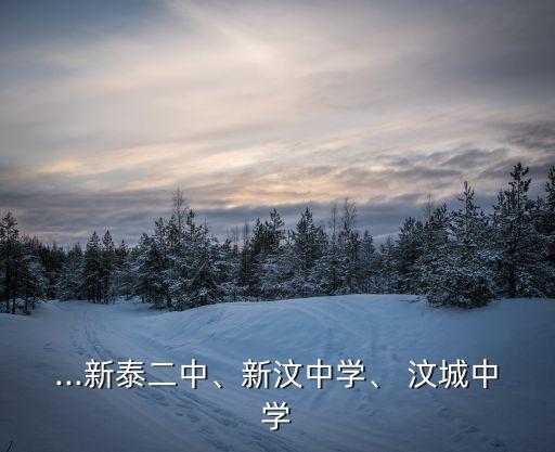 汶城中學,新汶中學不是同個高中隔著一堵墻看