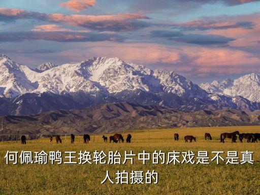 何佩瑜鴨王換輪胎片中的床戲是不是真人拍攝的