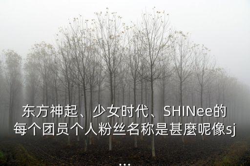 FansClub,fs就是kingclub粉絲俱樂部