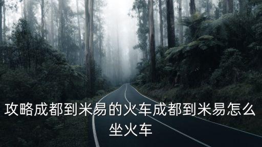 成都城際鐵路,中國已建有十多條城際鐵路