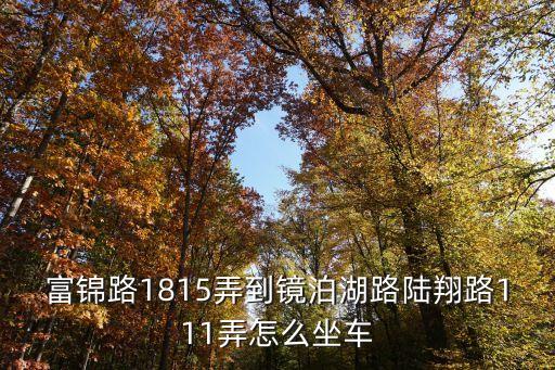 富錦苑,從富錦苑到陸翔路怎么坐車?