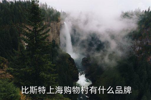 比斯特,上海比斯特和奧特萊斯的區別如下。
