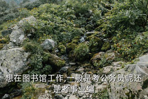 想在圖書館工作,一般是考公務員呢還是考事業編
