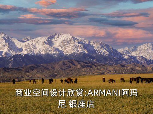 商業空間設計欣賞:ARMANI阿瑪尼 銀座店