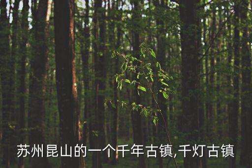 蘇州昆山的一個千年古鎮,千燈古鎮