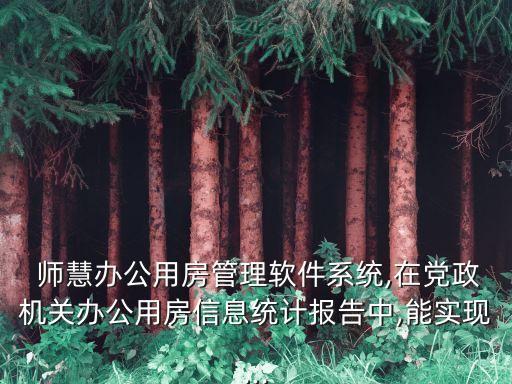  師慧辦公用房管理軟件系統,在黨政機關辦公用房信息統計報告中,能實現...