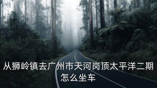從獅嶺鎮去廣州市天河崗頂太平洋二期怎么坐車