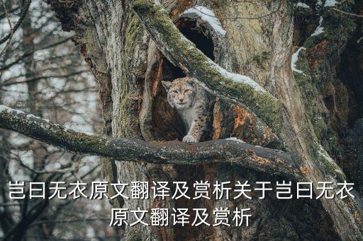 豈曰無衣原文翻譯及賞析關(guān)于豈曰無衣原文翻譯及賞析