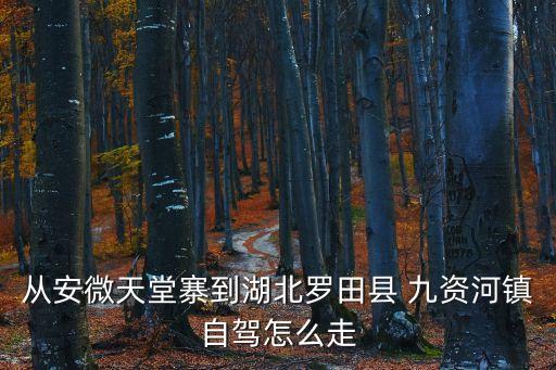 從安微天堂寨到湖北羅田縣 九資河鎮自駕怎么走