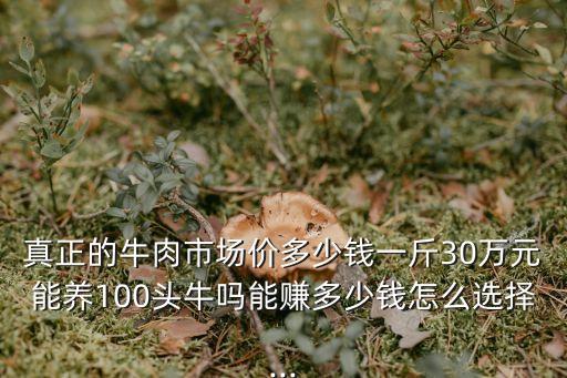 真正的牛肉市場價多少錢一斤30萬元能養100頭牛嗎能賺多少錢怎么選擇...