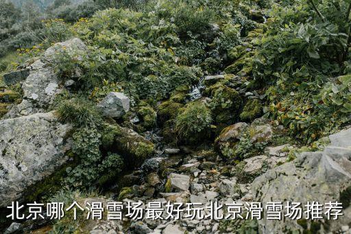 北京哪個滑雪場最好玩北京滑雪場推薦