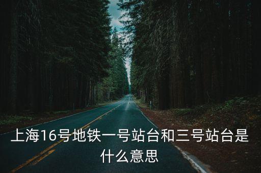 16號線大站車,上海16號線大站車全程只停靠幾個大站